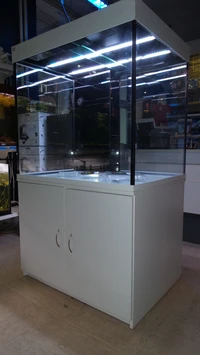 individuell angefertigtes Live-Style-Aquarium mit LED-Beleuchtung